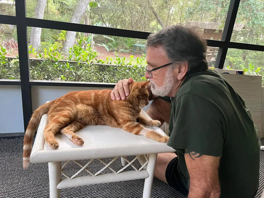 A closer look at Feline Leukemia Treatment Outcomes