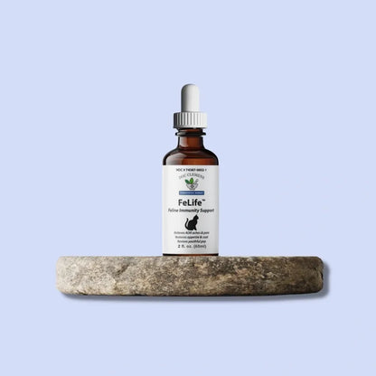 FeLife™ Immunity Support - Reduces FeLV Virus in Cats