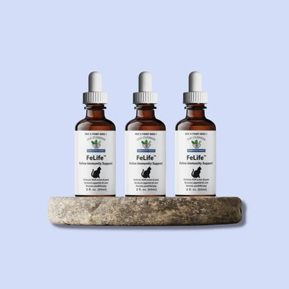 FeLife™ Immunity Support - Reduces FeLV Virus in Cats