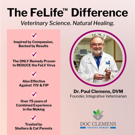 DocClemens™ - Original Feline Leukemia Treatment - All Natural – Doc ...