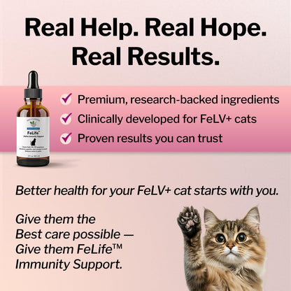 FeLife® Immunity Support - Reduces FeLV Virus in Cats