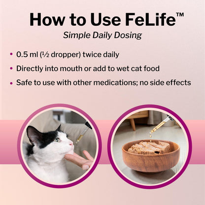 FeLife® Immunity Support - Reduces FeLV Virus in Cats