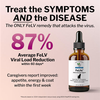 FeLife® Immunity Support - Reduces FeLV Virus in Cats