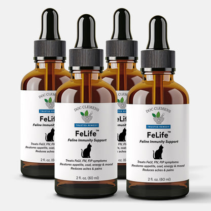 FeLife® Immunity Support - Reduces FeLV Virus in Cats