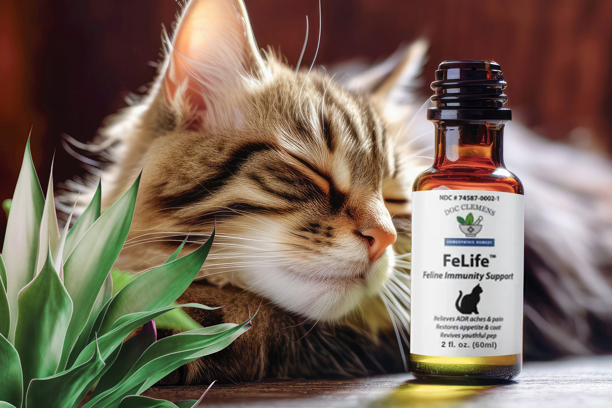 Snapshot of Cat Leukemia Natural Treatment At Home Guides