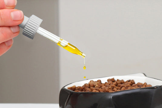 Beautiful view of Cat Leukemia Natural Remedies And Treatments