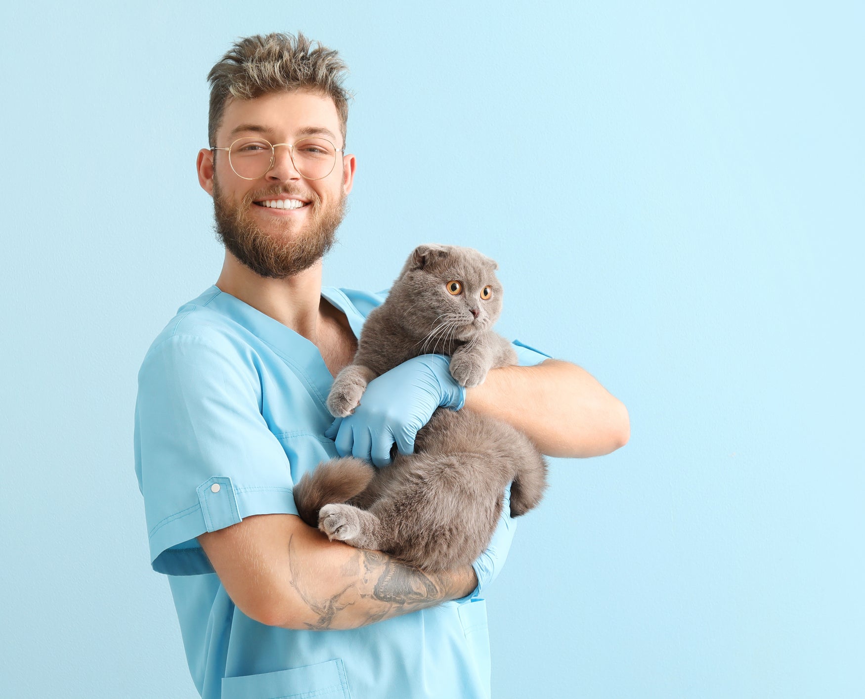 Case Studies - DocClemens - Feline Leukemia Treatment - Doc Clemens ...